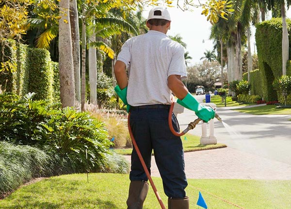 About Lenox MA Pest Control Pros